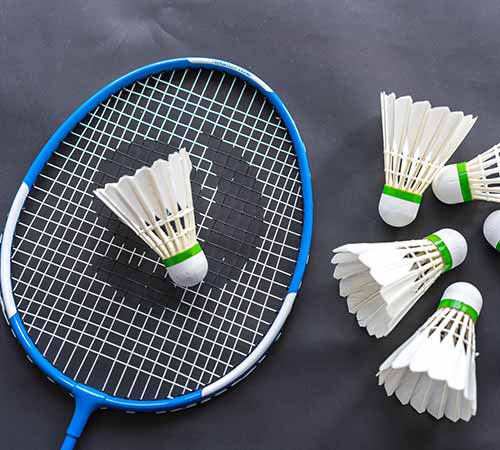 素的影响 素的影响