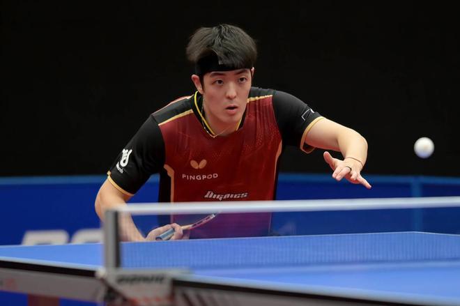 引发了广泛 引发了广泛